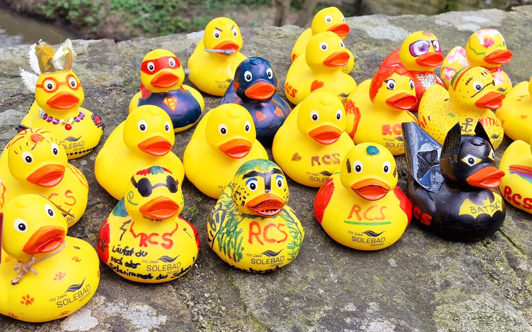 Einige der Enten von der RCS-Gruppe warteten auf der Steinmauer der Brücke an der Goerdelerstraße auf ihren Einsatz.